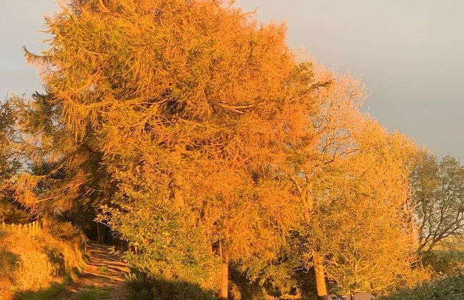 Bryn Eithin Cottage Far From the Madding Crowd - Foto 20