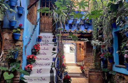 El patio azul Bohemio Mágico - Foto 15