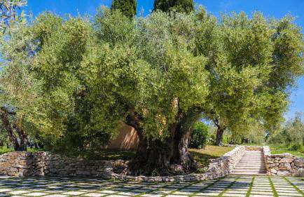 Tenuta Colfiorito - Foto 51