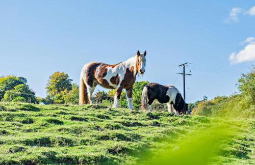 1 Bed in Abergavenny oc-52882 - Foto 23