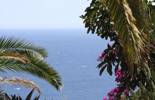 Apartamento Bella Vista - Foto 19