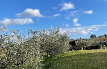 Agriturismo La Rondinella - Photo 53