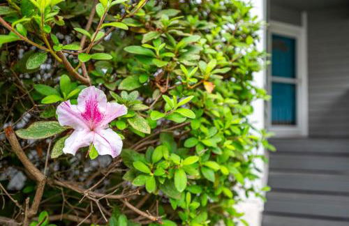 The Cozy Cottage - 10 Min From UNC - Foto 45