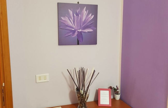 The Artists - Foto 12