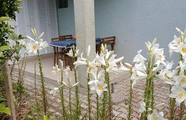 Apartments Blue House - Photo 1