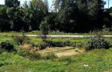 EkoTurystyka Natura Gwiazd - Green Velo - Workation Park - Ziołowy Klimat Bieszczad - Foto 53