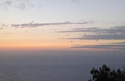 Anemar Lefkada - Photo 29