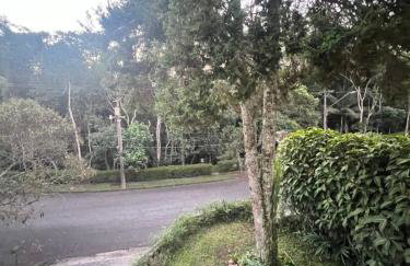 Casa Royal Solar - Photo 14