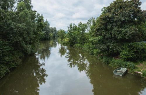 Gehobenes Ambiente in historischer Wohnung - Photo 52