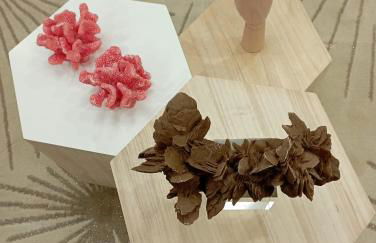 Súper apartamento Santiago - Photo 9