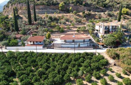 Olive Hill - Foto 31