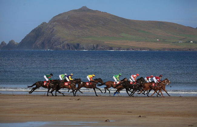 Dingle Bay View - Photo 10