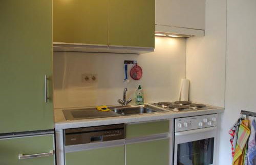 Steiert Panorama Apartments Todtnau - Foto 63