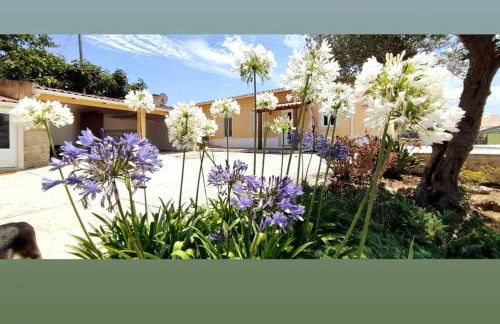 Kyrios Arts Atelier with use of private swimming pool - Foto 17