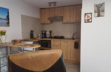 Alpaka-Ranczo AFF - Foto 54