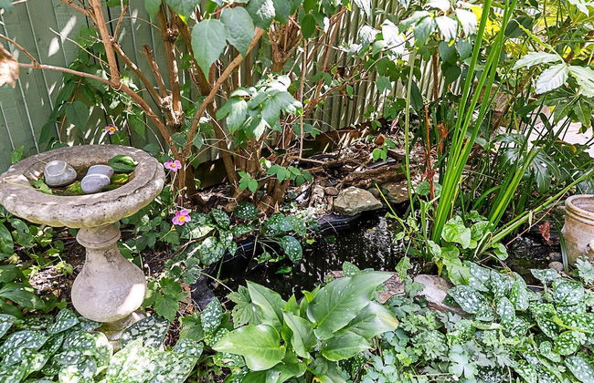 Charming London Retreat - Foto 7