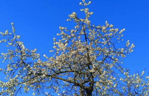 Wolfsgrund 14 - Foto 19