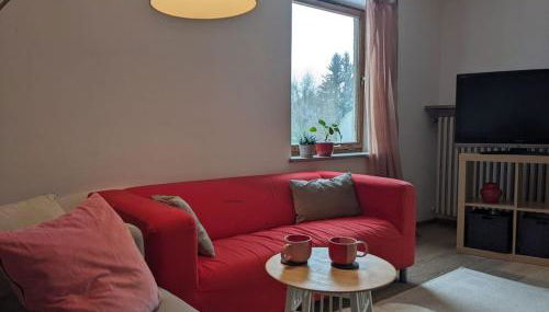 Wohnen im Voralpenland - Foto 2