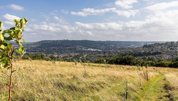Luxury Glamping - Charlcombe Valley Orchards Bath - Foto 4, Habitación