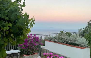 Villa Cristina - De Vivo Realty Piano di Sorrento - Foto 62