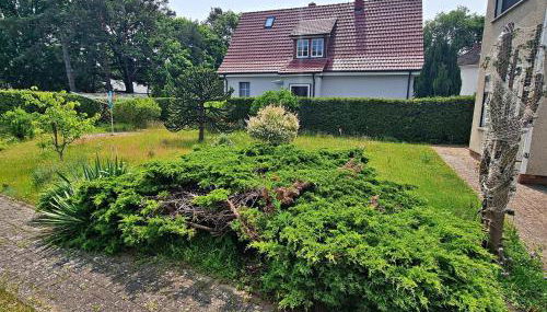 Ferienwohnung Seepferdchen - Foto 4