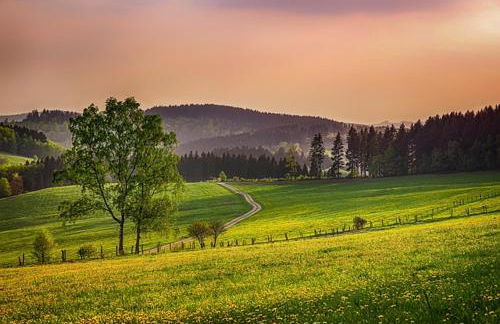 Fewo Meschede Eversberg Radring - Foto 4