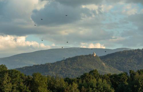 Karkonoskie Sny - Domki z widokiem na Karkonosze - Foto 49