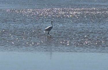 Casa em Unamar, Cabo Frio - com piscina privativa - Foto 22