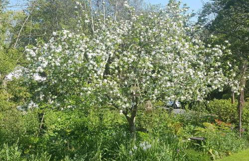 Bentley Rise - Photo 27