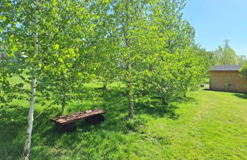 Agroturystyka Polana Giebułtów obok Świeradowa i zamku Czocha, domki przyjazne rodzinom z dziećmi - Photo 29