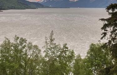 Turnagain View Lodge and Wedding Venue - Photo 47