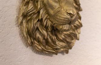 Taunuslodge - Foto 15