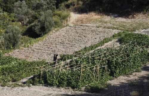 Meronas Eco House - Foto 24