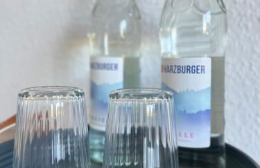 Larooms Merseburg - Apartment NS01 - 2 Zimmer - 4 Betten - Waschmaschine - Parkplatz - Foto 6