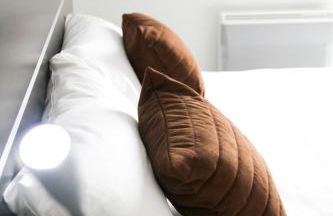 Park Wilson Airport - Foto 33