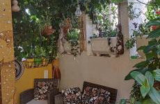 Apartment Maggi - Photo 24