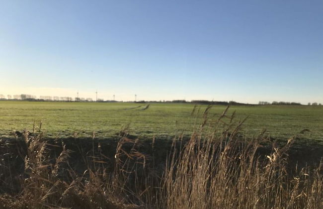 Luetje Huuske Modern Retreat - Foto 21