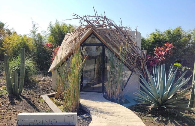 Bosque Geométrico - Photo 32