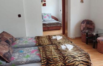 Willa Anna - Foto 11