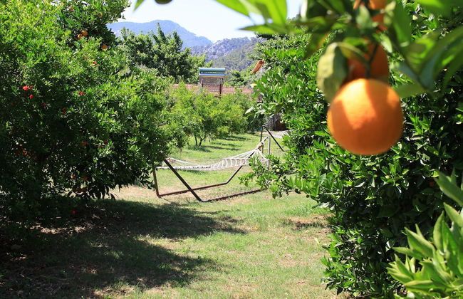 Ikiz Villas - Foto 61