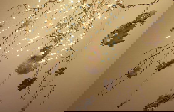 Masetto Egidio Agritur - Foto 36