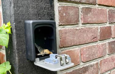 Ferienhaus unter Reet im Heidedorf Sankt Dionys bei Lüneburg - Foto 6