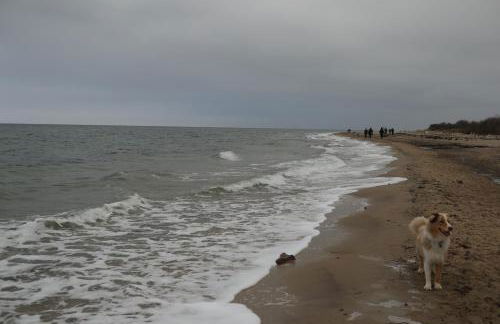 2 Ferienhäuser im Doppelpack für Naturliebhaber, strandnah, ruhig, mit großen Gärten - Foto 55