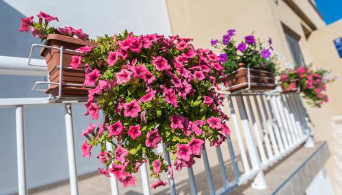 Apartments Galeb - Photo 3