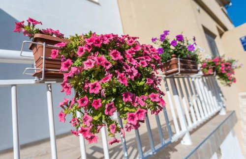 Apartments Galeb - Photo 3