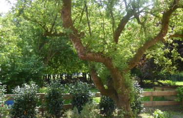 Ferienwohnung Elise im Gulfhof am Kanal - Foto 17