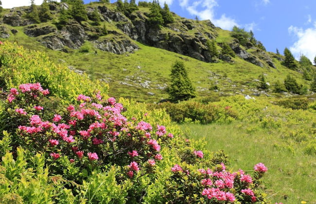 Apartment Sankt Michael Near Ski Lift - Foto 25