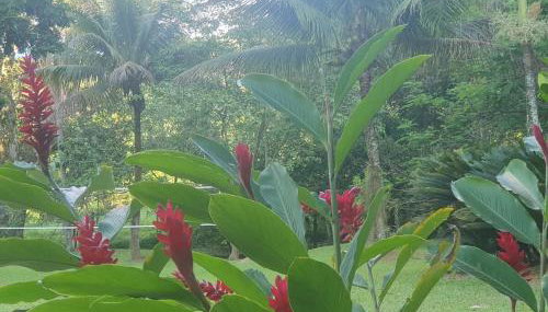 Pousada Sitio Ceu de Estrelas, Paraiso Cinematográfico!! - Foto 4