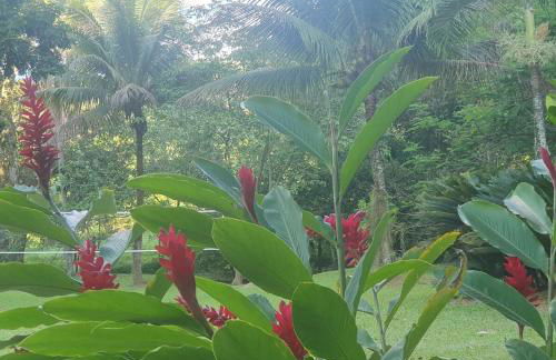 Pousada Sitio Ceu de Estrelas, Paraiso Cinematográfico!! - Foto 4