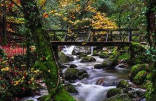 Geresmarinahouse - Foto 58